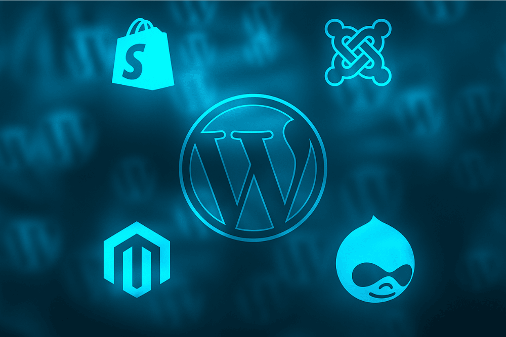 Best CMS for Business Websites